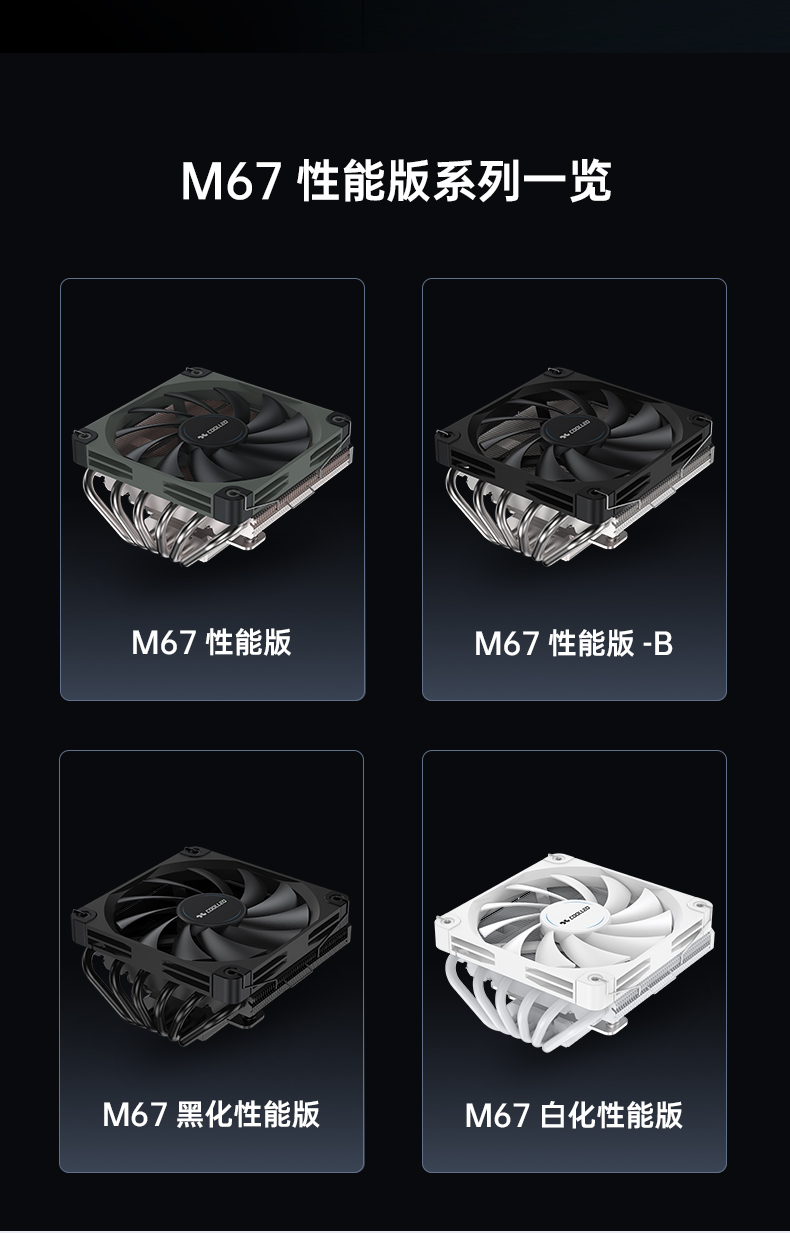2015 년