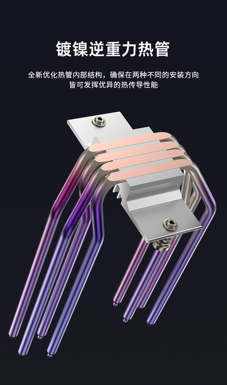 라이트