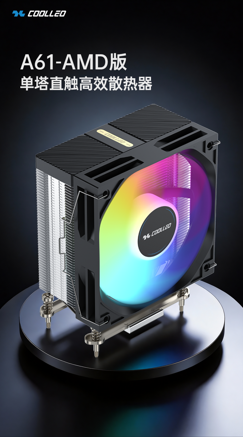 A61 AMD